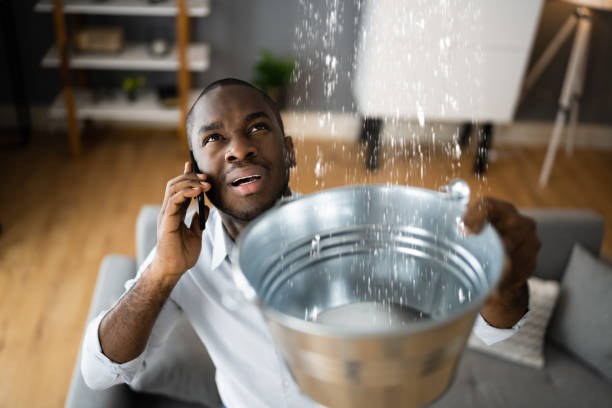 Best Flood restoration services  in Wilmington Manor, DE