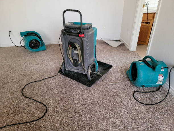 Best Water damage contractors near me  in Wilmington Manor, DE