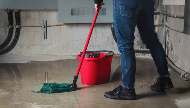 Best 24-hour water damage restoration  in Wilmington Manor, DE