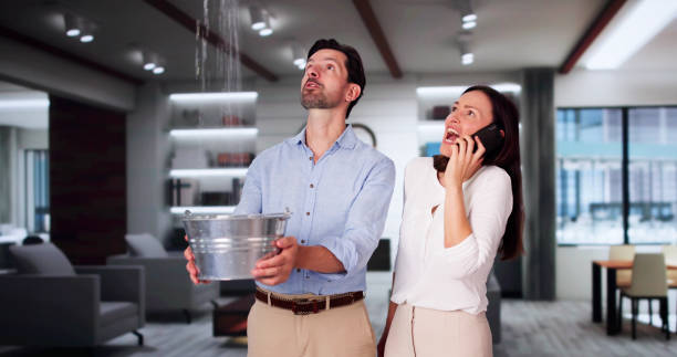 Best Carpet water damage restoration  in Wilmington Manor, DE